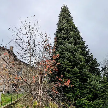 Appartement Calme Style Bohème Chic