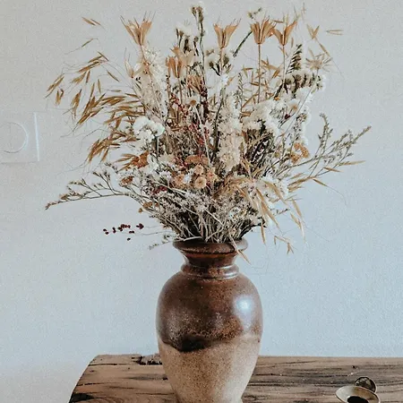 Calme Style Bohème Chic Appartement Mazet-Saint-Voy