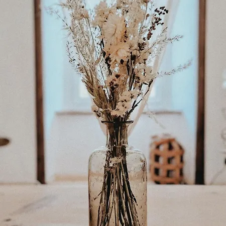 Calme Style Boheme Chic, La Cachette Du Renard * Mazet-Saint-Voy